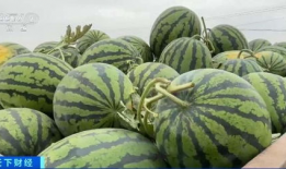 51cgw吃瓜网,揭秘娱乐圈最新热点，带你领略幕后真相