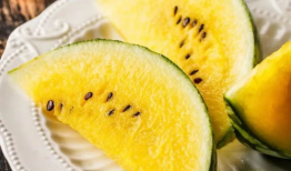 红料吃瓜网,揭秘娱乐圈幕后故事，带你领略明星真实生活