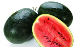 ym26.吃瓜网,ym26.吃瓜网背后的故事与真相