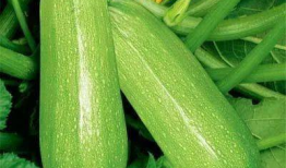 ym26.吃瓜网,ym26.吃瓜网背后的故事与真相